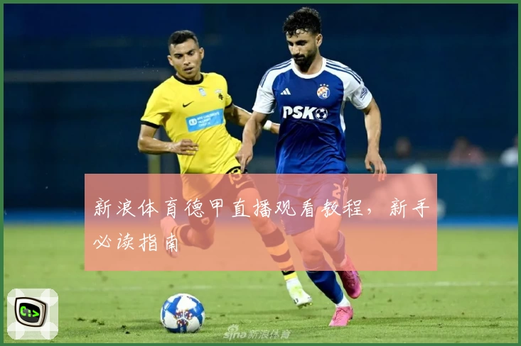 新浪体育德甲直播观看教程，新手必读指南
