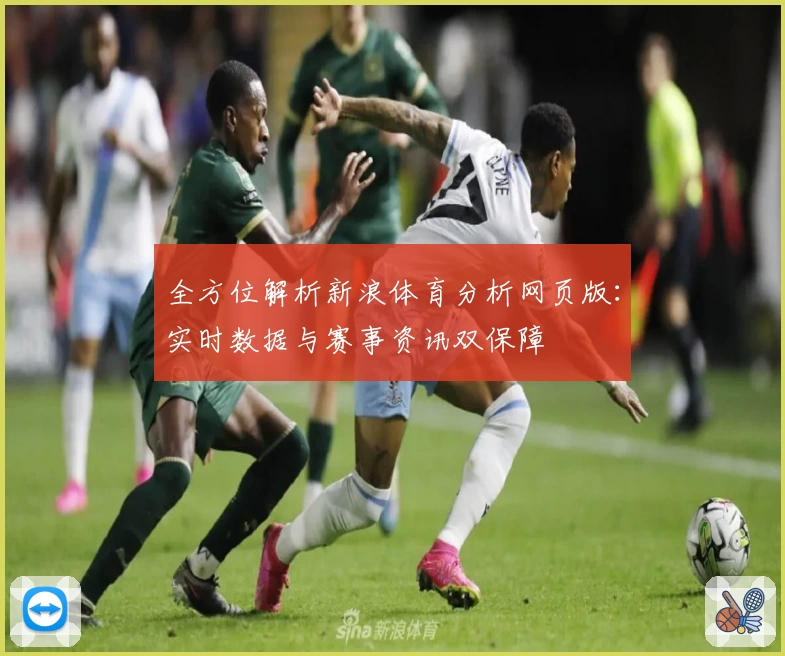全方位解析新浪体育分析网页版：实时数据与赛事资讯双保障