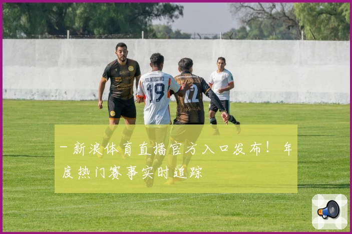 - 新浪体育直播官方入口发布！年度热门赛事实时追踪