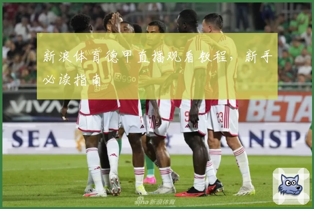 新浪体育德甲直播观看教程，新手必读指南