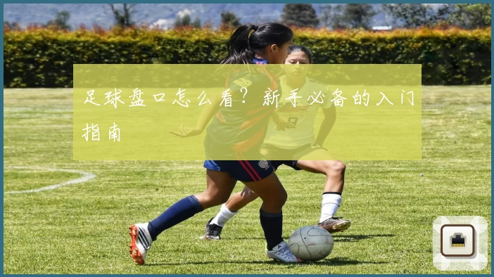 足球盘口怎么看？新手必备的入门指南