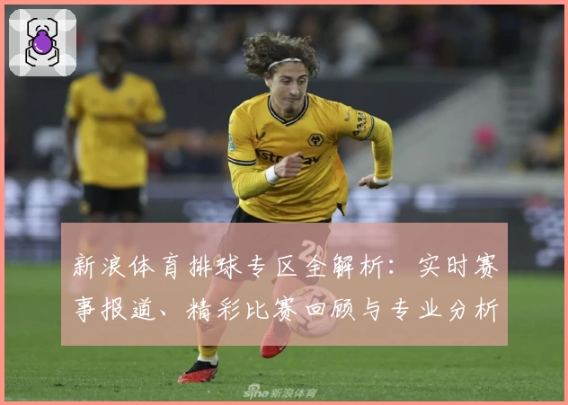 新浪体育排球专区全解析：实时赛事报道、精彩比赛回顾与专业分析一站掌握