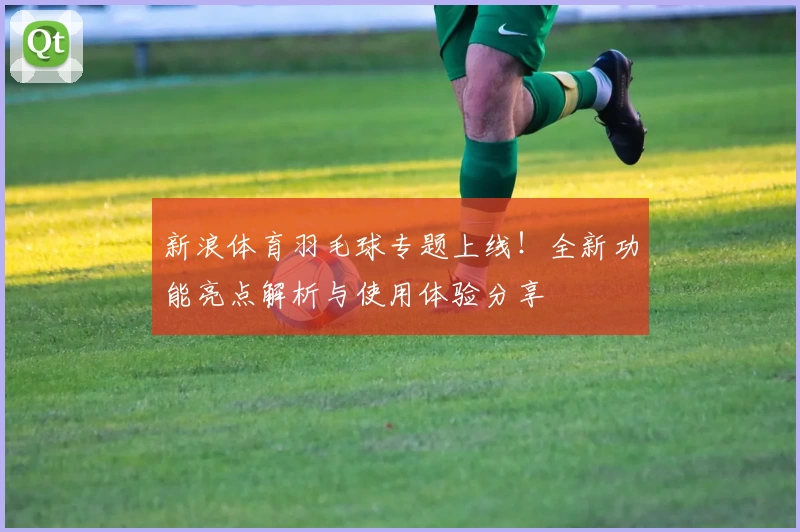 新浪体育羽毛球专题上线!全新功能亮点解析与使用体验分享