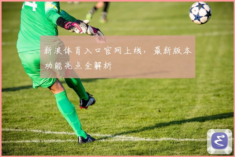 新浪体育入口官网上线，最新版本功能亮点全解析