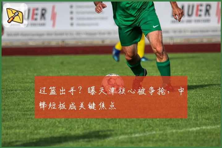 辽篮出手？曝天津核心被争抢，中锋短板成关键焦点