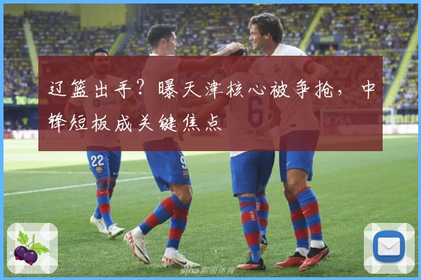 辽篮出手?曝天津核心被争抢,中锋短板成关键焦点