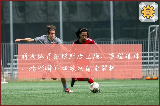 新浪体育排球新版上线：赛程追踪、精彩瞬间回放功能全解析