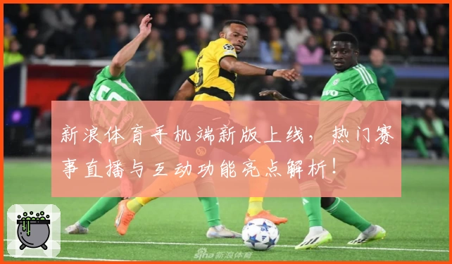 新浪体育手机端新版上线，热门赛事直播与互动功能亮点解析！