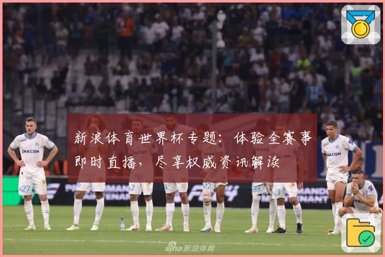 新浪体育世界杯专题：体验全赛事即时直播，尽享权威资讯解读