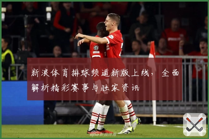 新浪体育排球频道新版上线，全面解析精彩赛事与独家资讯