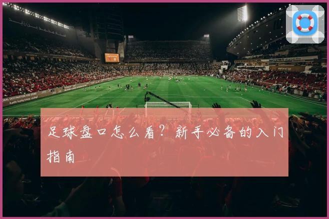 足球盘口怎么看？新手必备的入门指南